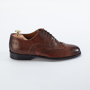 
                  
                    Oxford brogue in brown leather
                  
                